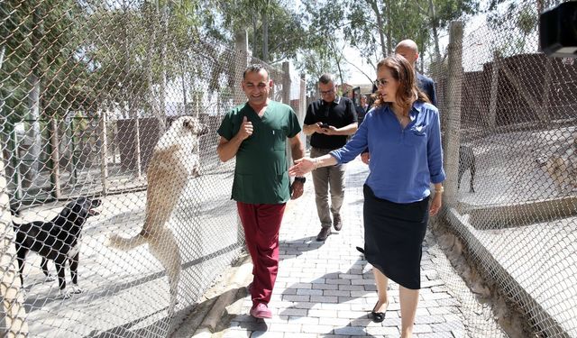 Karşıyaka Belediyesi yeni hayvan barınağı için düğmeye bastı