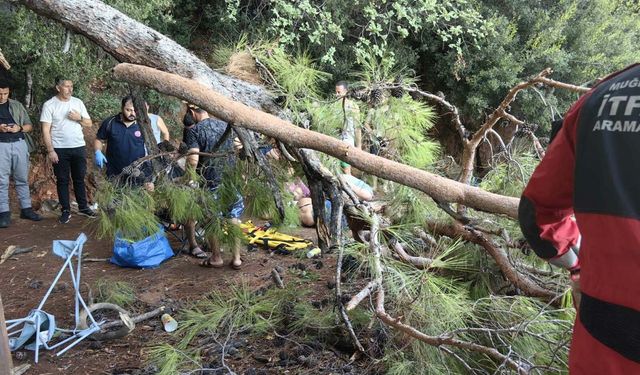 Kuvvetli rüzgarda ağaç devrildi: 3 yaralı