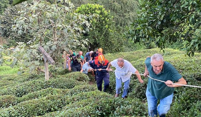 İlkel teleferikten düşen kadın kurtarıldı