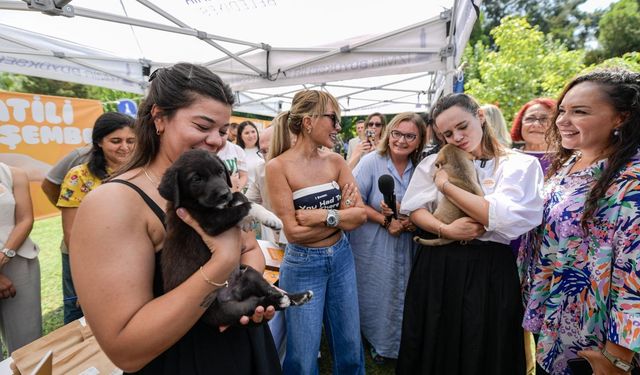 Sahipsiz Köpek Popülasyonu Yönetimi İzmir Eylem Planı hazırlandı