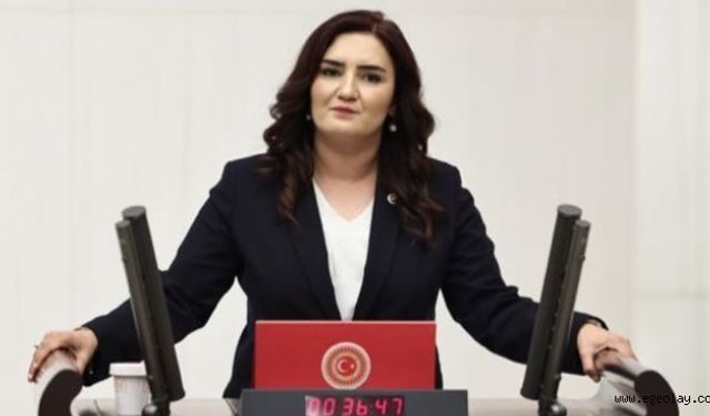 CHP İzmir Milletvekili Sevda Erdan Kılıç: 'Serdar Akalın 85 gündür kayıp, bakanlık sessiz'