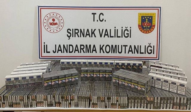 Şırnak’ta kaçakçılık operasyonunda 26 gözaltı