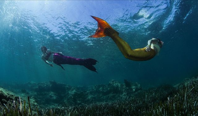 Karaburun'da deniz kızı dalış eğitimi talep görüyor