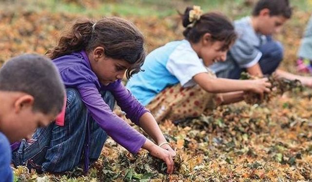 Türkiye'nin utanç karnesi: Çocuk işçiliği can almaya devam ediyor