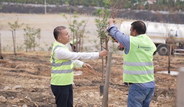 9 Eylül’de İzmir’in dağlarında çiçekler açtı