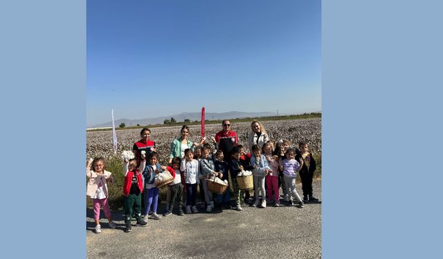 Menemenli minikler Pamuk hasatı yaptı!