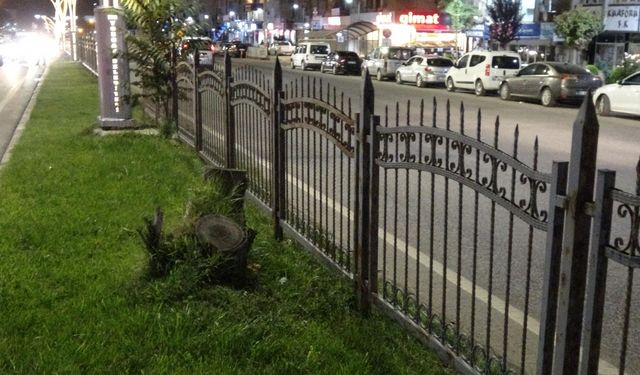 Refüjdeki demirlerden atlayıp, yolun karşısına geçmek isterken canından oldu