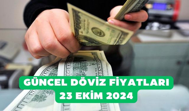 Dolar ve Euro sakin! Güncel döviz fiyatları 23 Ekim 2024