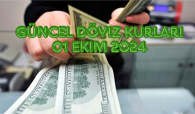 Dolar yükselişini sürdürüyor! Güncel döviz kurları 01 Ekim 2024