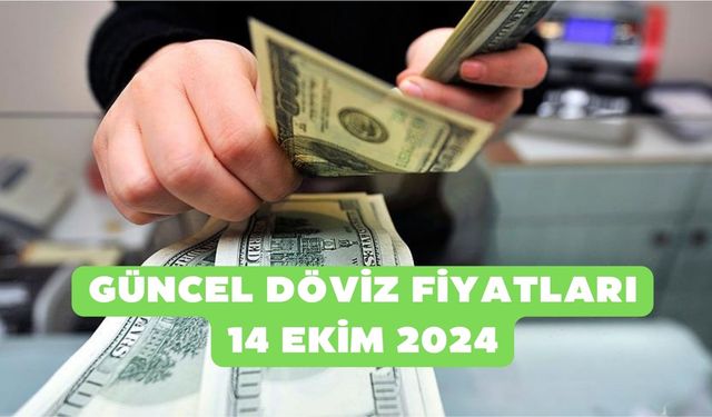 Dolarda dalgalı seyir sürüyor! Güncel döviz fiyatları 14 Ekim 2024