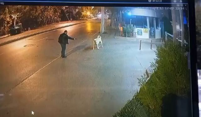 Köpeği silahla korkutmaya çalıştı