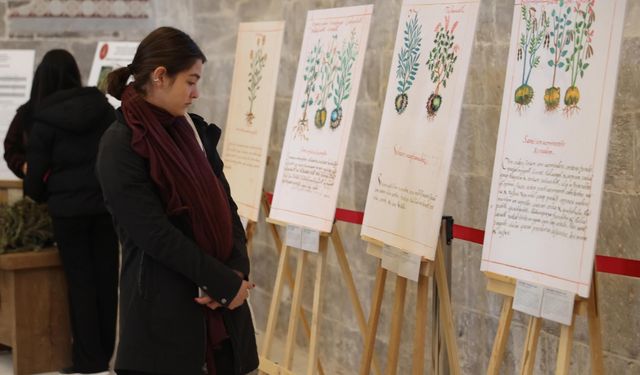 Meksika'nın şifalı bitkileri, Nevşehir'de sergilendi