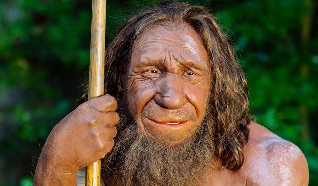 Yaşayan son Neandertal kim?