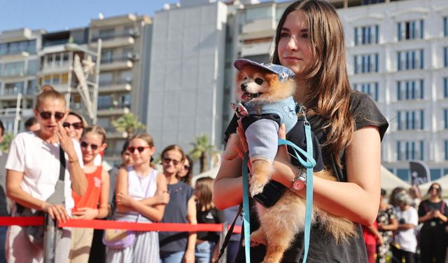 Patilerin Festivali can dostlara yuva oldu