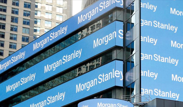 Morgan Stanley'den TL için olumlu tahmin!