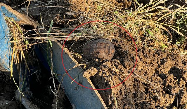 Tarlada el bombası bulundu