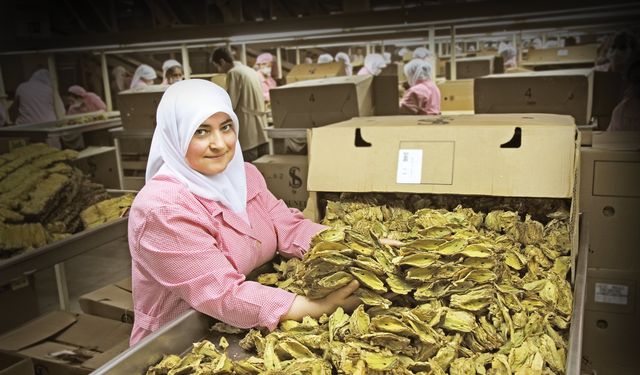 EİB’den tarım ürünleri ihracatı 7,5 milyar doları aştı