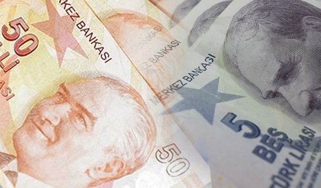 Yeni 5 ve 50 TL’lik banknotlar tedavüle çıktı