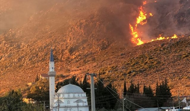 Muğla'da makilik alanda çıkan yangın kontrol altına alındı