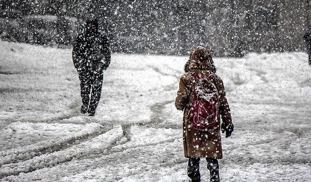 Eğitime kar engeli! İşte kar tatili olan iller 25 Kasım 2024