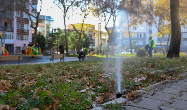 Buca’da yeşil doku için yoğun mesai