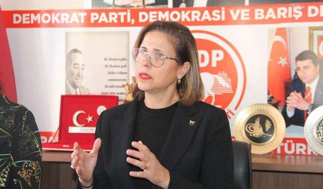 Demokrat Parti kongresinde gerginlik: İlay Aksoy'un adaylığı reddedildi