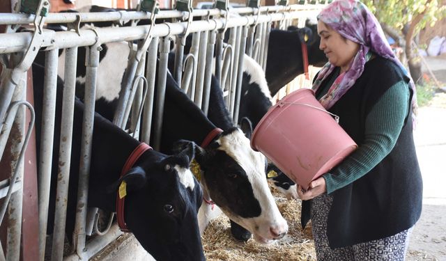 İzmirli Hediye keçiyle hayvancılığa başladı; sürü sahibi oldu