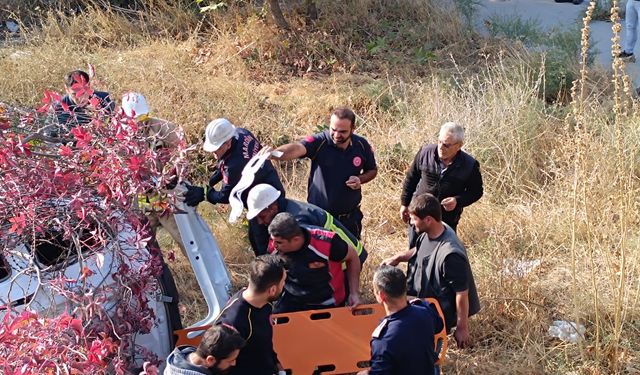 Cip, beş metreden düştü