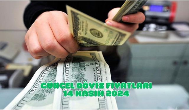 Dolar ve Euro'da yükseliş! Güncel döviz fiyatları 14 Kasım 2024