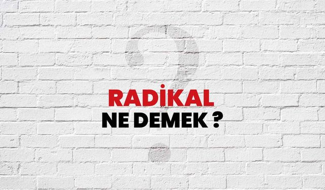 Radikal ne demek? Radikal nedir?