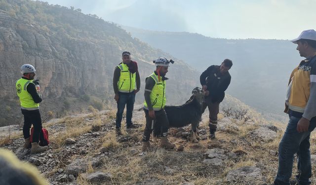 Dağlık arazide zorlu kurtarma operasyonu