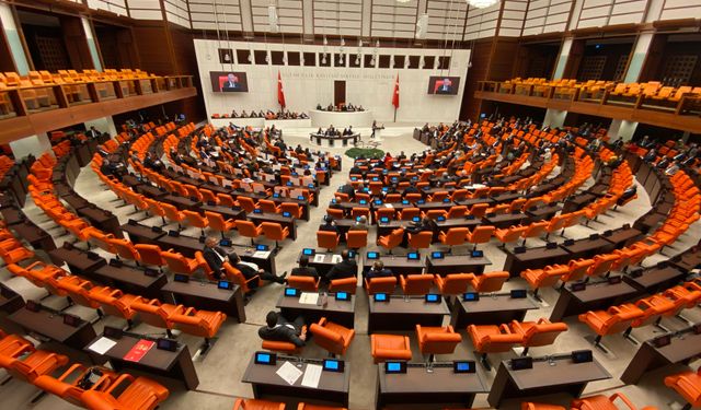 İzmir'de ölen kardeşler, yine TBMM gündeminde