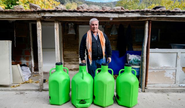 Bornova’da zeytin üreticilerine lojistik destek