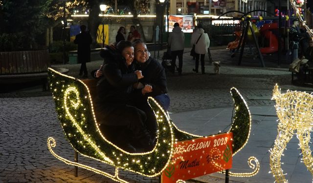 Ankara'da park ve caddeler yılbaşı için süslendi