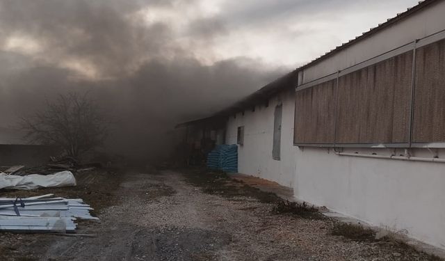 Mersin’deki çiftlik yangınında binlerce civciv öldü