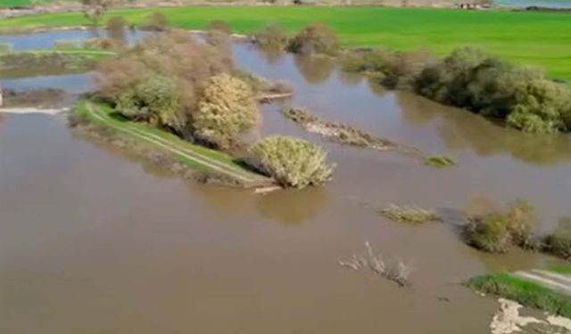 Büyük Menderes Nehri sağanak nedeniyle taştı