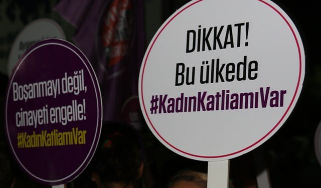 Acı Bilanço Çözüm Bekliyor: İlçeler sığınma evi açmalı