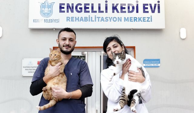 Konak’ın engelleri aşan Kedi Evi’nden sahiplenme çağrısı