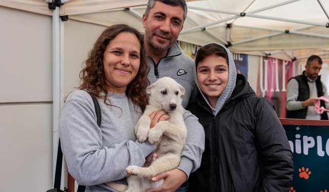 Konak’tan patili dostları sahiplendirme etkinliği: Yeni yıla sıcak yuvalarında girecekler