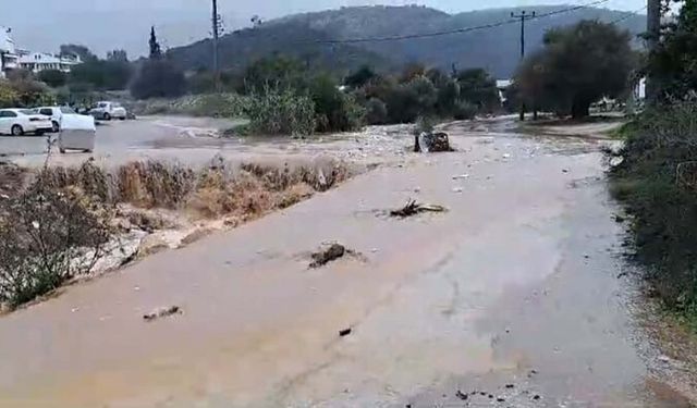 Datça'da sağanak; dere taştı, ev ve iş yerlerini su bastı