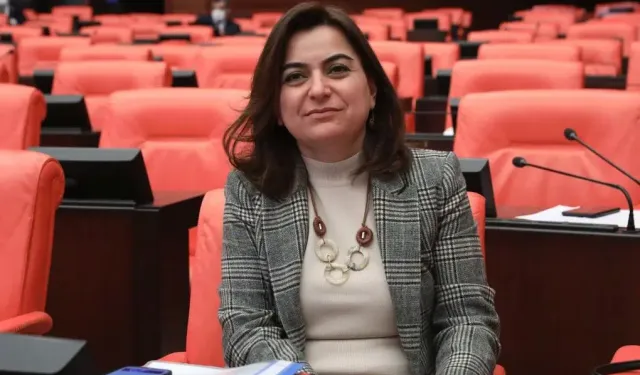 DEM Parti'den İmralı açıklaması: Bu iş yalnızca gidiş gelişlerle yürümez