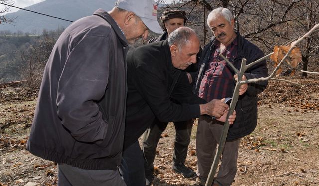 Büyükşehir'den kestane üreticisine 'kanser' eğitimi!