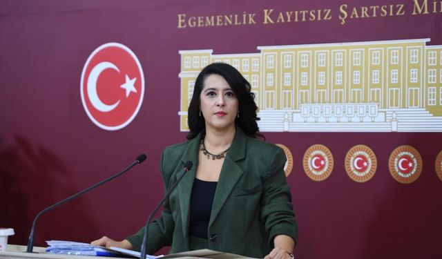 EMEP’li Karaca, kamu işçilerine seslendi: Kazanım kendi gücünüz ve iradenizle olacak