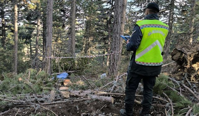 Kütahya'da kestiği ağacın altında kalan işçi öldü