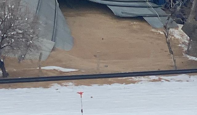 Silo çöktü, tonlarca buğday yere döküldü