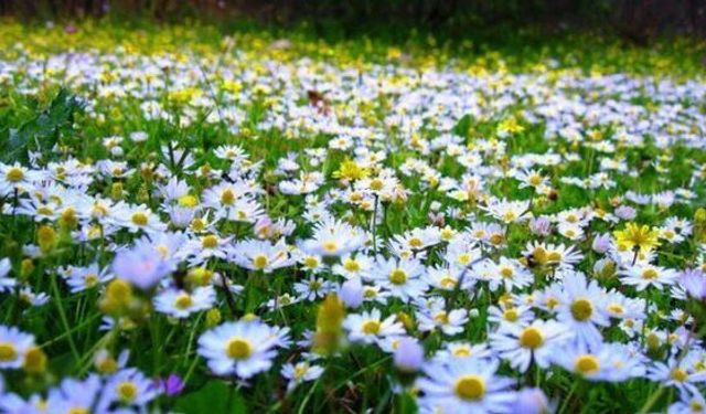 Üçüncü cemre ne zaman düşecek?