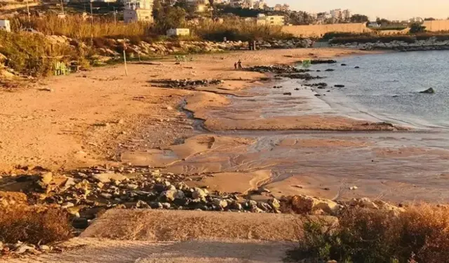 Deniz Çekilmesi Neden Olur? Deniz Çekilmesi Deprem Habercisi mi?