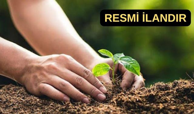 Torbalı Orman Fidanlık Müdürlüğü fidan üretim ve bakımı hizmeti alacak