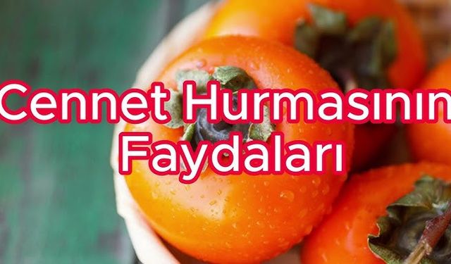 Cennet hurmasının faydaları ve zararları: İşte bilmeniz gerekenler