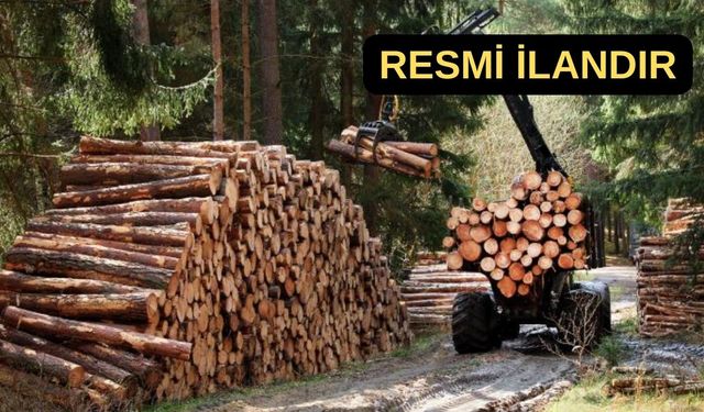 Bergama Orman İşletme Müdürlüğü ormancılık hizmeti alacak